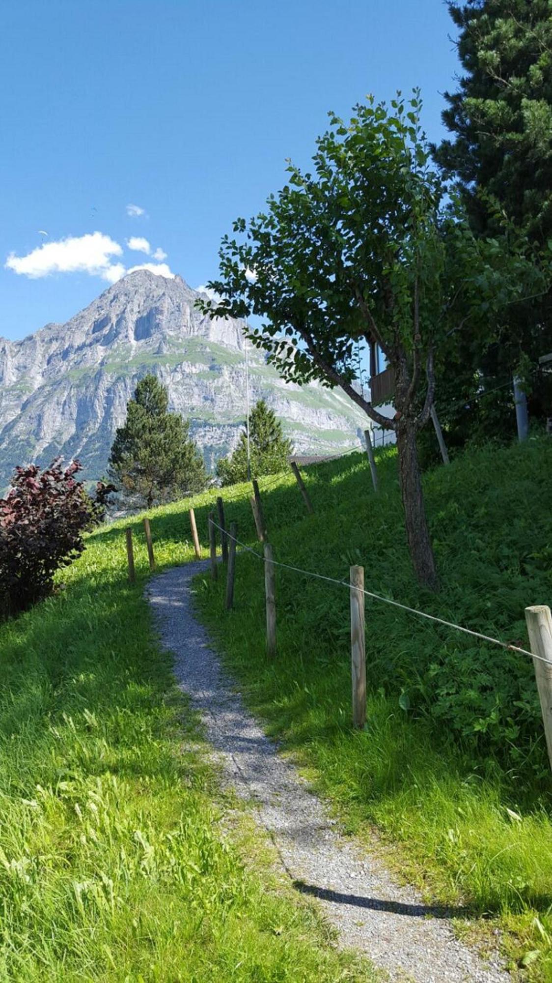 Chalet Wärgistal Grindelwald Exteriör bild