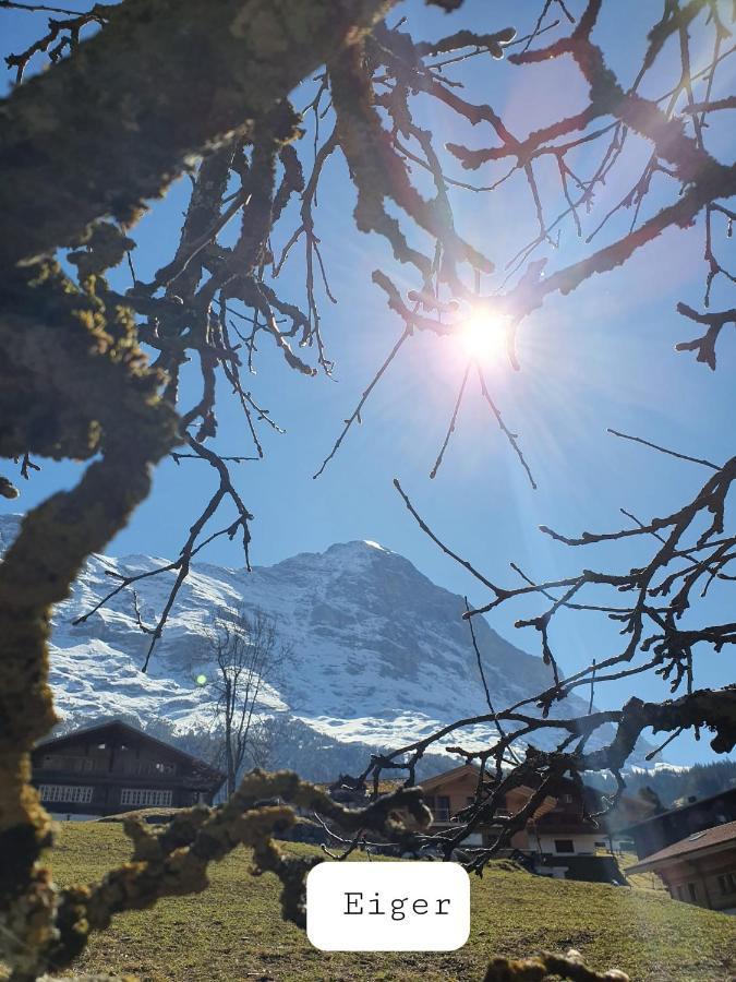 Chalet Wärgistal Grindelwald Exteriör bild