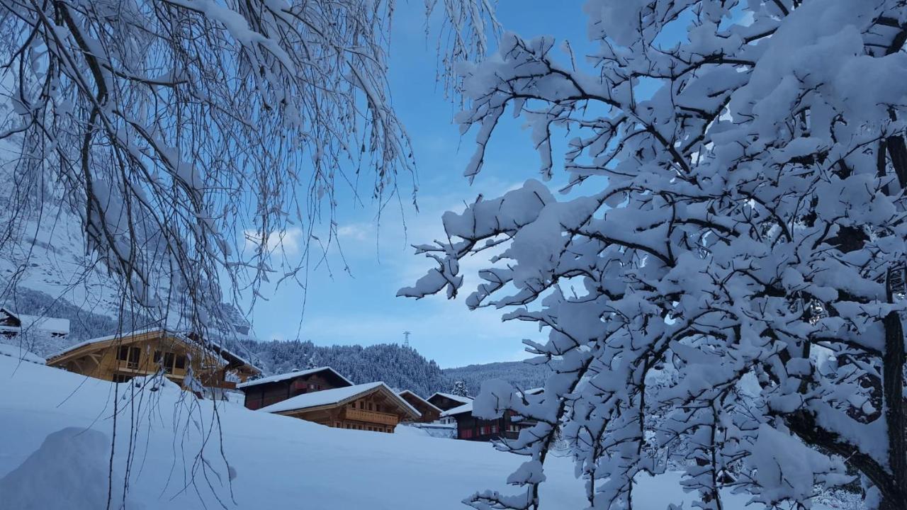Chalet Wärgistal Grindelwald Exteriör bild