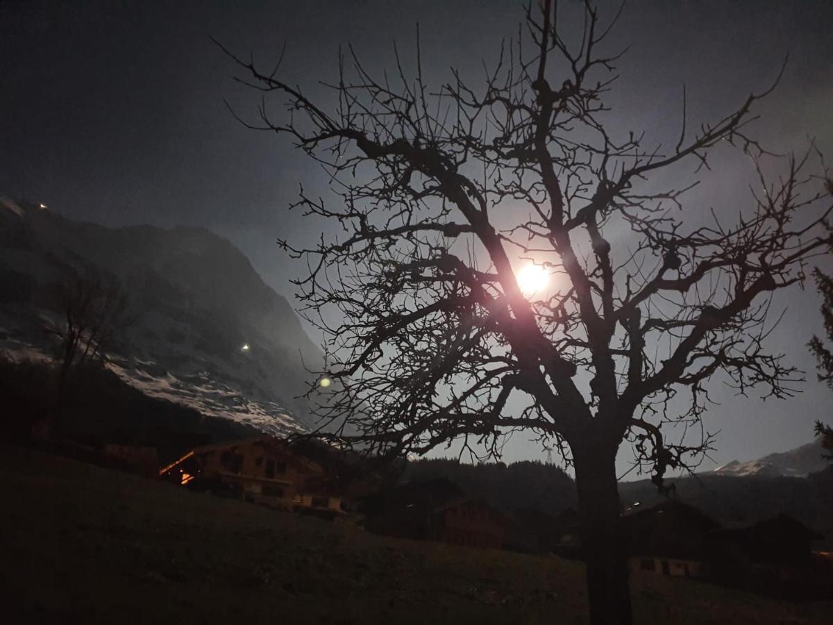 Chalet Wärgistal Grindelwald Exteriör bild