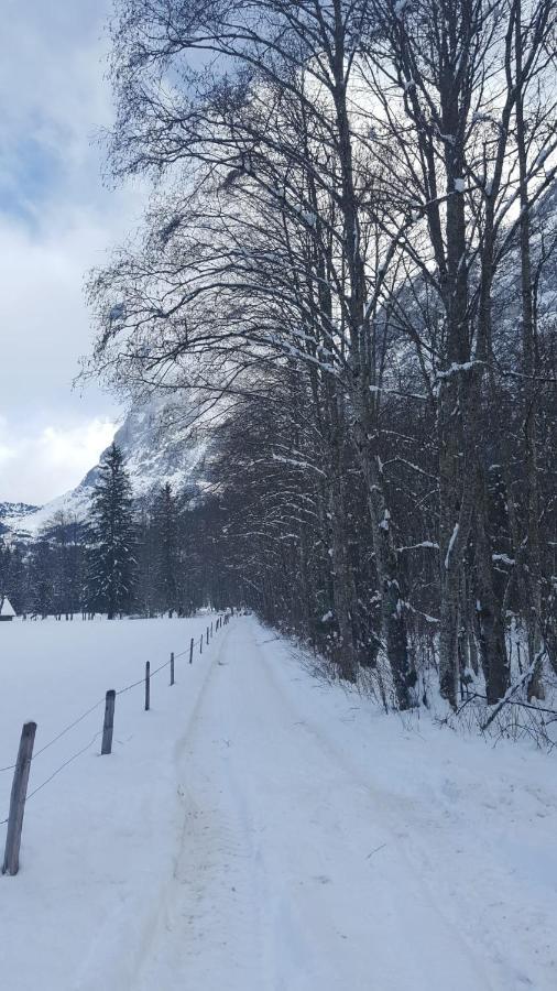 Chalet Wärgistal Grindelwald Exteriör bild