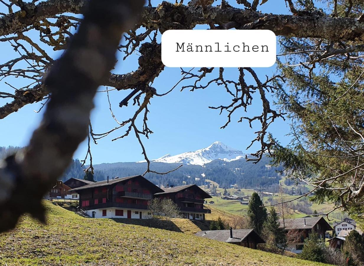 Chalet Wärgistal Grindelwald Exteriör bild